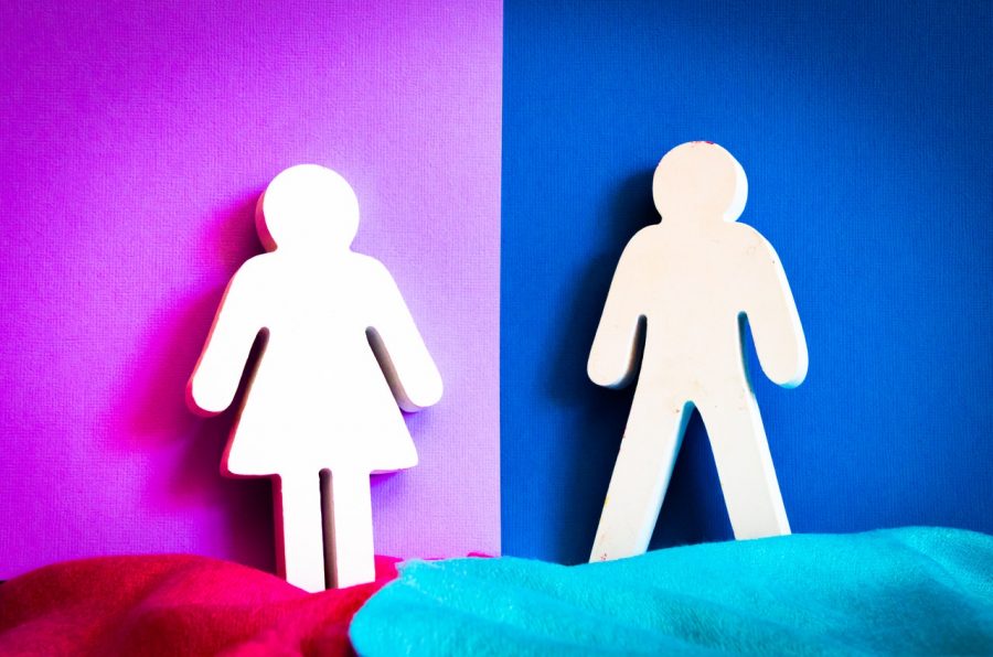 Eek, a boy! New gender-segregation programs announced